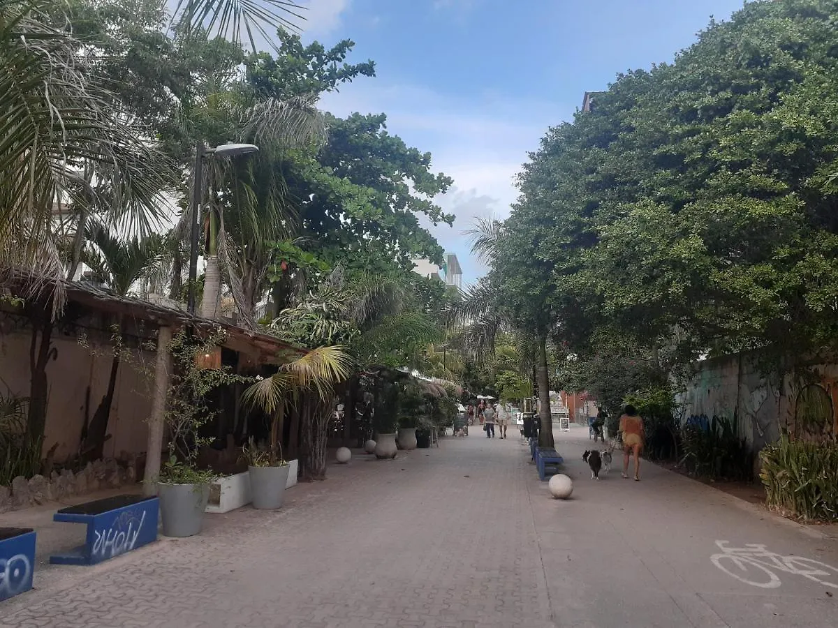 Bleu Balam - Cozy Charming Pool & Beach Zazil-Ha بلايا ديل كارمن 0*,  المكسيك
